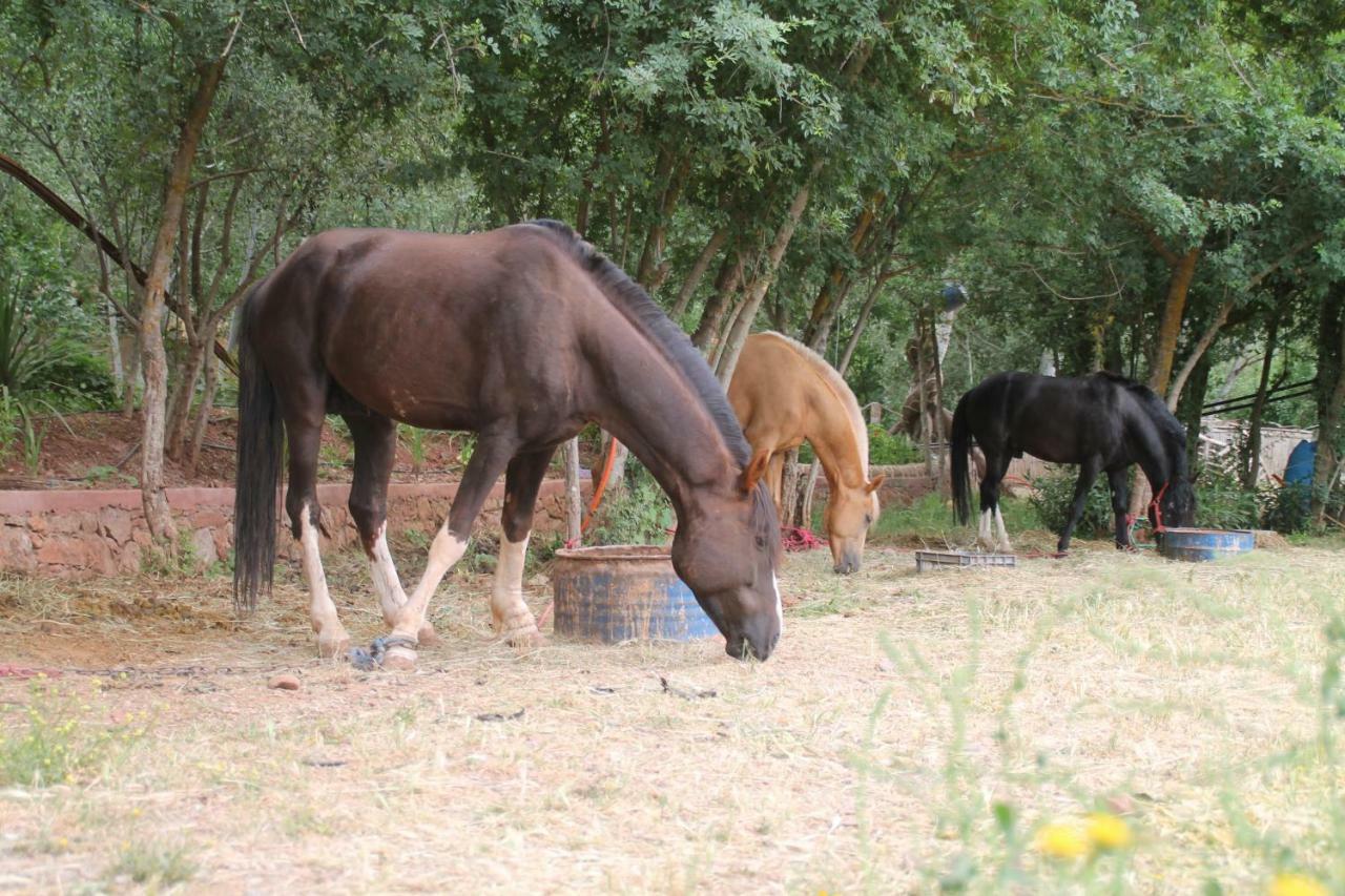 Ecolodge Espace Tamount Demnate Zewnętrze zdjęcie